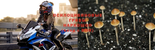 spice Арсеньев