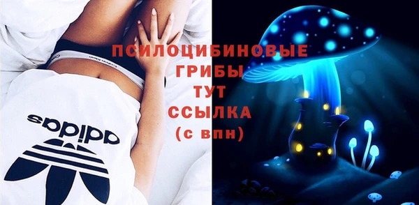 spice Арсеньев